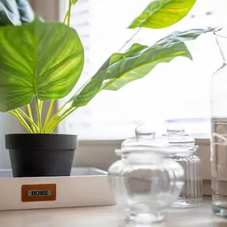 Apartment In Top Location Near The Zwinger Drezda