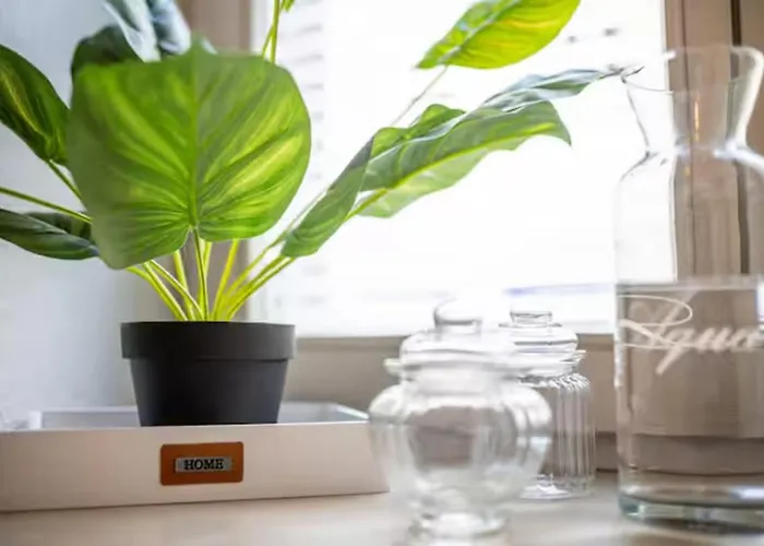 Apartment In Top Location Near The Zwinger Drezda