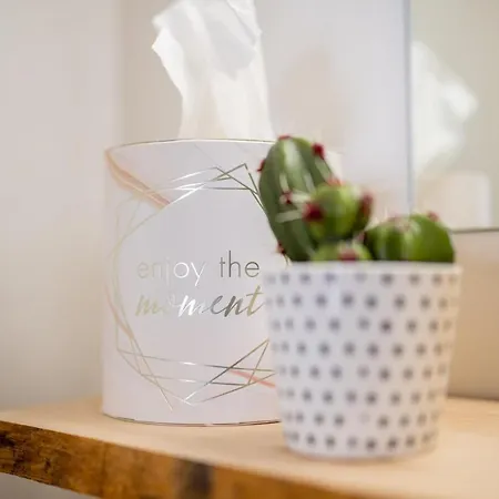 Altstadtwohnung In Top-lage Naehe Zwinger Lägenhet *