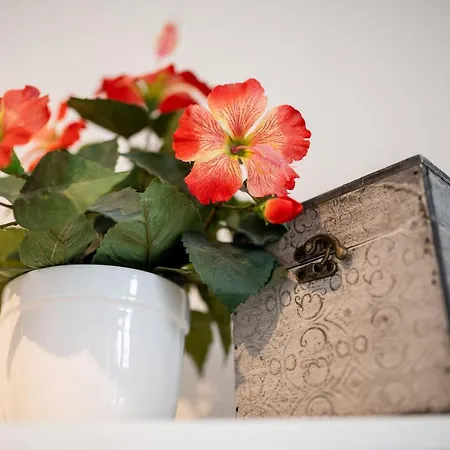 アパート Altstadtwohnung In Top-lage Naehe Zwinger ドレスデン